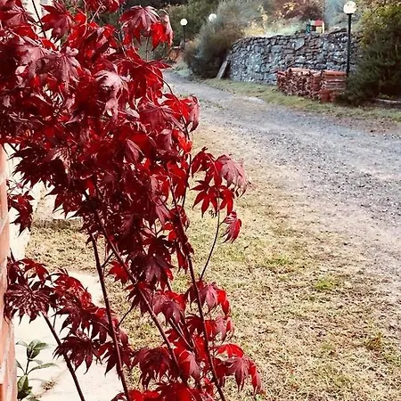 Bed & Breakfast Ca' Di Benaglia *