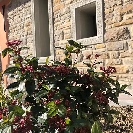 Ca' Di Benaglia Loiano